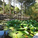 Quinta Dos Lagos - Al Sintra