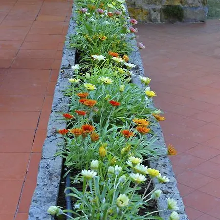 Quinta Dos Lagos - Al بيت ضيافة
