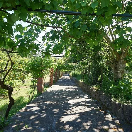 Pensjonat Quinta Dos Lagos - Al