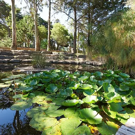 Quinta Dos Lagos - Al Синтра