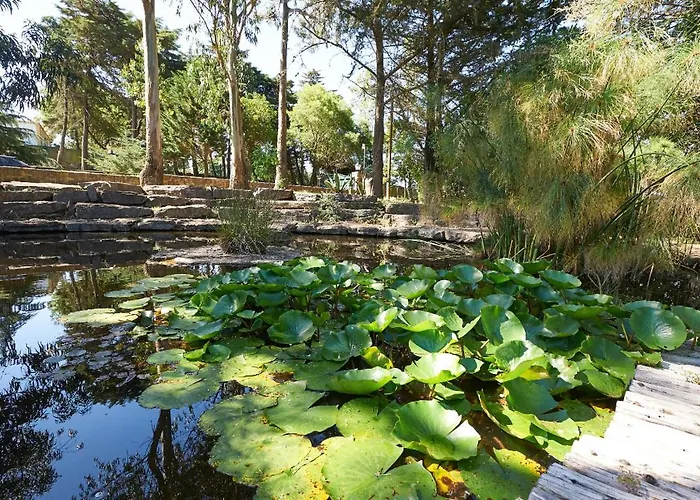 Quinta Dos Lagos - Al Sintra